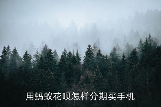 螞蟻花唄怎么買手機，淘寶上買手機怎樣使用螞蟻花唄分期購
