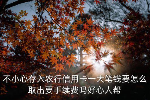 不小心存入農(nóng)行信用卡一大筆錢要怎么取出要手續(xù)費(fèi)嗎好心人幫