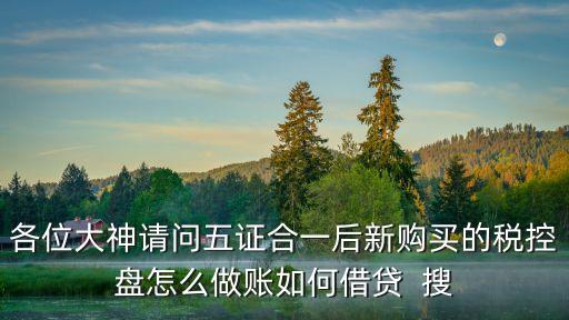 各位大神請問五證合一后新購買的稅控盤怎么做賬如何借貸  搜
