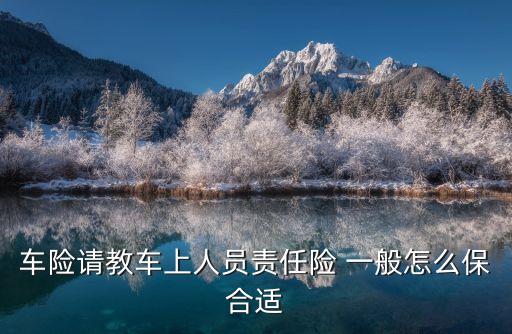 車(chē)險(xiǎn)請(qǐng)教車(chē)上人員責(zé)任險(xiǎn) 一般怎么保合適