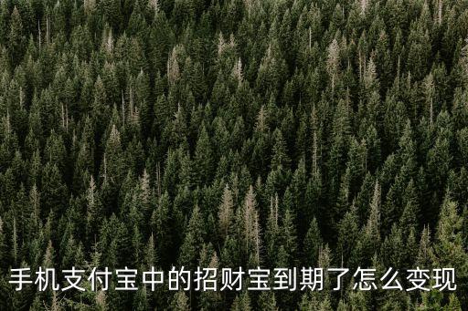 手機(jī)支付寶中的招財(cái)寶到期了怎么變現(xiàn)