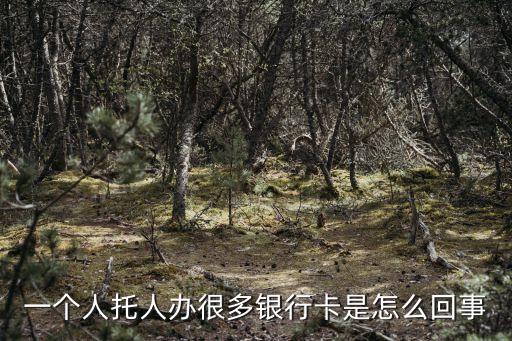 一個(gè)人托人辦很多銀行卡是怎么回事