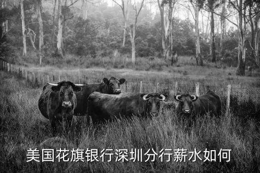 在花旗銀行工作怎么樣，天津花旗銀行待遇怎么樣