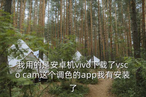 google怎么添加信用卡，我用的是安卓機vivo下載了vsco cam這個調(diào)色的app我有安裝了