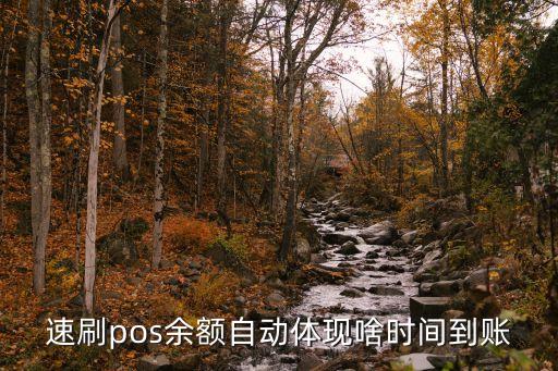 速刷pos余額自動體現(xiàn)啥時間到賬