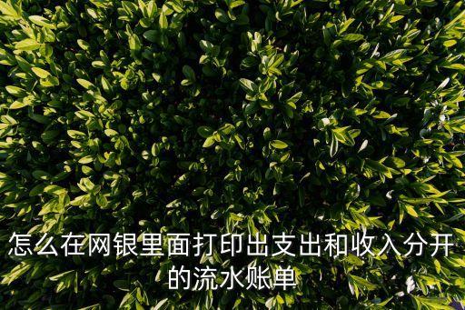 怎么在網(wǎng)銀里面打印出支出和收入分開的流水賬單