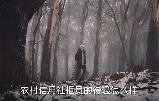 農(nóng)村信用社柜員的待遇怎么樣