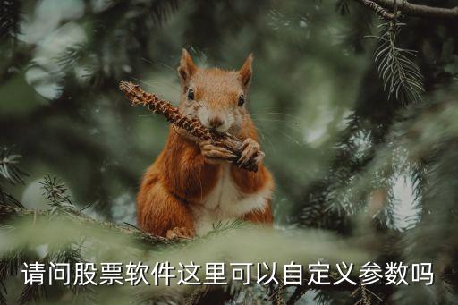 請(qǐng)問(wèn)股票軟件這里可以自定義參數(shù)嗎