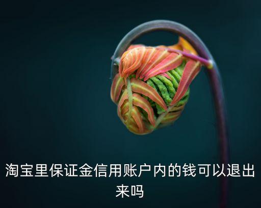 淘寶里保證金信用賬戶內(nèi)的錢可以退出來嗎