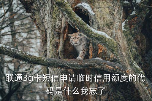聯(lián)通3g卡短信申請(qǐng)臨時(shí)信用額度的代碼是什么我忘了