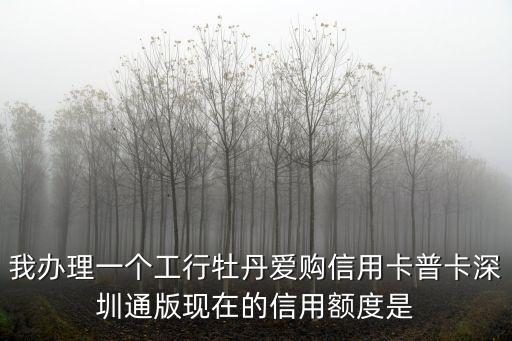 我辦理一個(gè)工行牡丹愛購信用卡普卡深圳通版現(xiàn)在的信用額度是