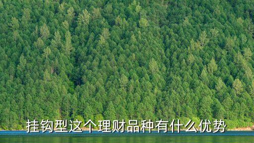 掛鉤型這個(gè)理財(cái)品種有什么優(yōu)勢