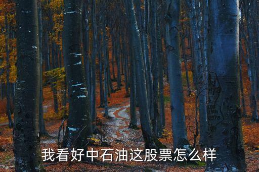 我看好中石油這股票怎么樣