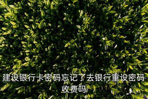 建設(shè)銀行卡密碼忘記了去銀行重設(shè)密碼收費(fèi)嗎