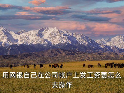 基本賬戶網(wǎng)上銀行怎么發(fā)工資，公司基本戶用網(wǎng)銀怎么發(fā)工資填勞務(wù)費(fèi)還是酬勞費(fèi)