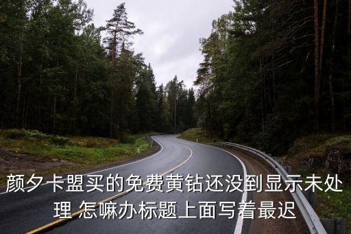 顏夕卡盟買的免費黃鉆還沒到顯示未處理 怎嘛辦標題上面寫著最遲