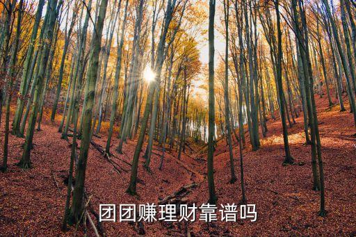 團(tuán)團(tuán)賺理財(cái)靠譜嗎