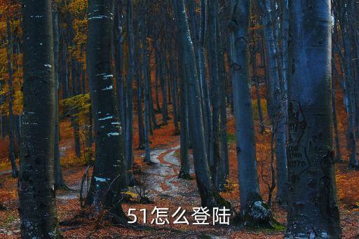 51怎么登陸