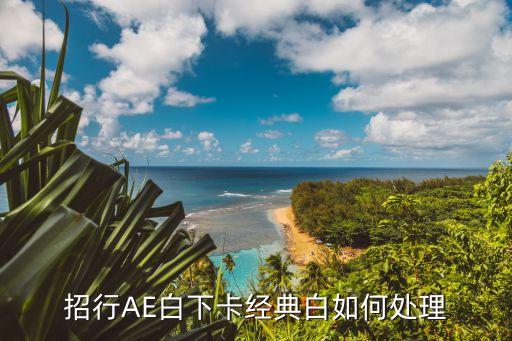 招行經(jīng)典白積分怎么辦，招行AE白下卡經(jīng)典白如何處理