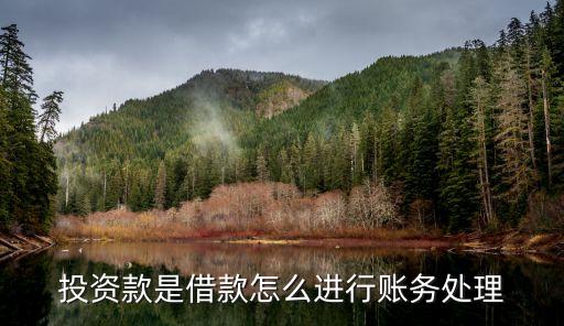 投資款是借款怎么進(jìn)行賬務(wù)處理