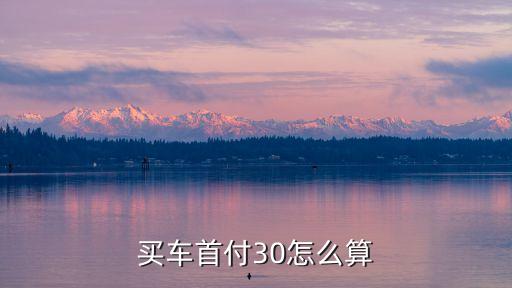 汽車的30首付款怎么算，一輛車首付百分之30怎么算出是多少來
