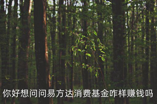 你好想問問易方達(dá)消費基金咋樣賺錢嗎