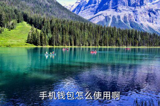 手機(jī)錢包怎么使用啊