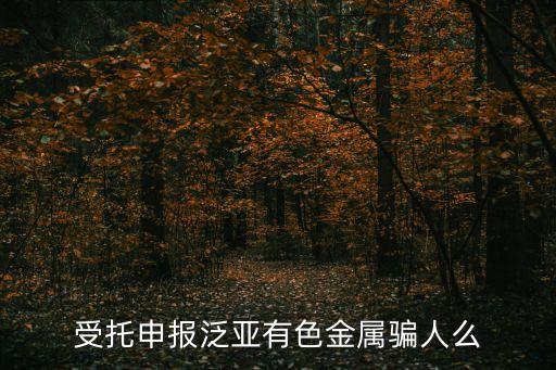 受托申報泛亞有色金屬騙人么