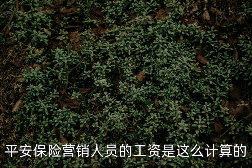 平安保險(xiǎn)工資怎么算的，平安保險(xiǎn)營銷人員的工資是這么計(jì)算的