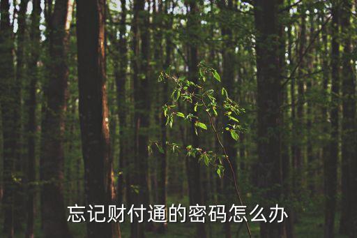 忘記財(cái)付通的密碼怎么辦