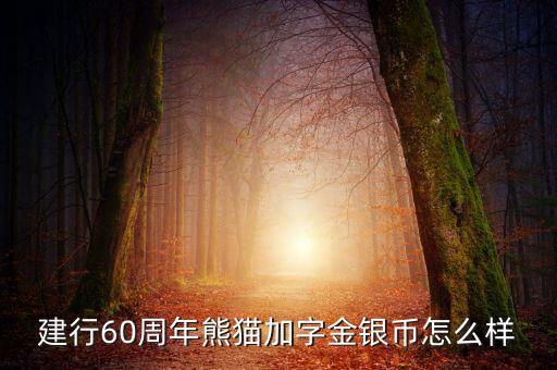 建行60周年熊貓加字金銀幣怎么樣