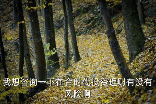 合時(shí)代投資怎么樣，我想咨詢一下在合時(shí)代投資理財(cái)有沒(méi)有風(fēng)險(xiǎn)啊