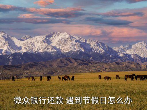 微眾銀行還款 遇到節(jié)假日怎么辦