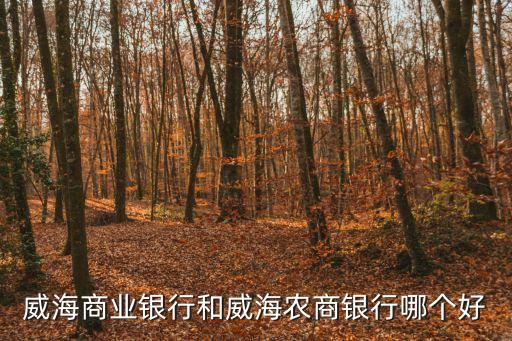威海商業(yè)銀行和威海農(nóng)商銀行哪個好