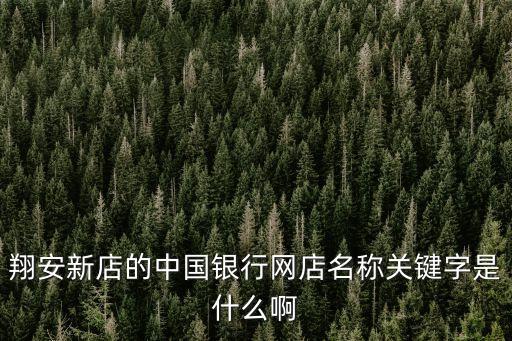 廈門新店支行怎么去，廈門翔安哪里有中國銀行不是ATM機的要有柜臺的那種