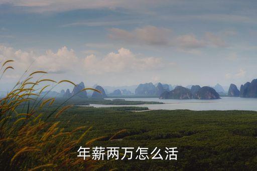 年薪兩萬(wàn)怎么活