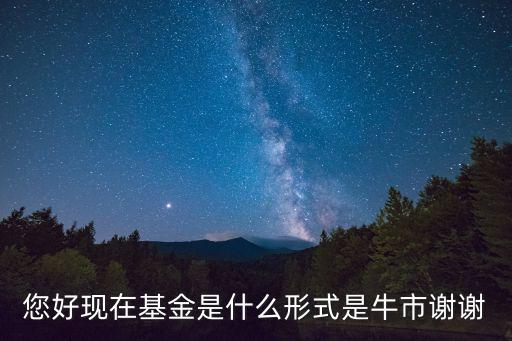 您好現(xiàn)在基金是什么形式是牛市謝謝