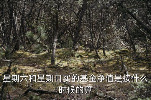 星期六和星期日買的基金凈值是按什么時候的算