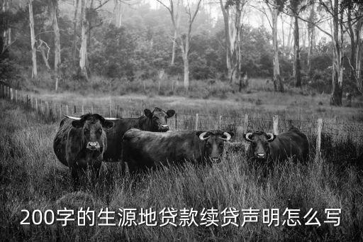 繼貸聲明200字怎么寫(xiě)，200字的生源地貸款續(xù)貸聲明怎么寫(xiě)