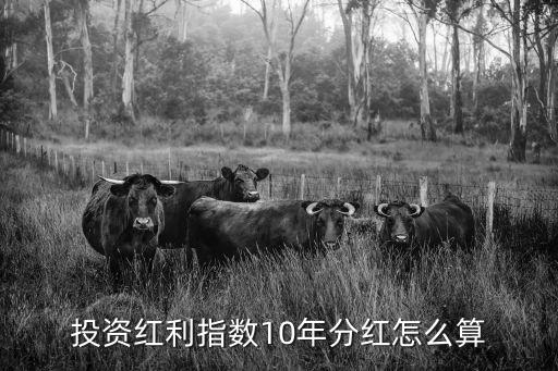 紅利etf 怎么分紅，投資紅利指數(shù)10年分紅怎么算