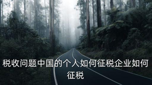 稅收問題中國的個人如何征稅企業(yè)如何征稅