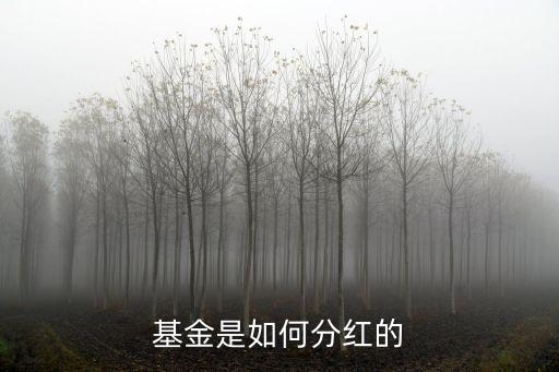基金是如何分紅的