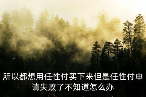 任性付開通不了怎么辦，蘇寧任性付開通總是失敗