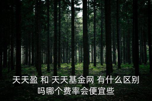天天盈 和 天天基金網(wǎng) 有什么區(qū)別嗎哪個費率會便宜些