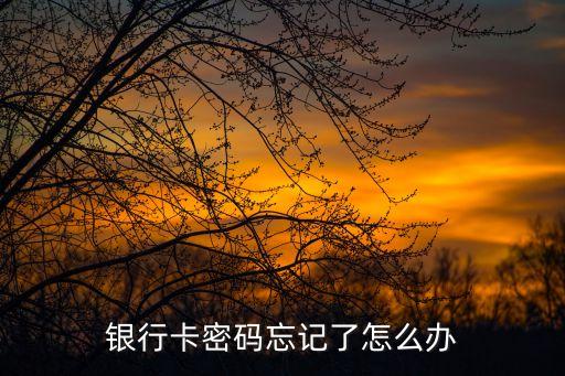 銀行卡加密碼忘了怎么辦啊，銀行卡的密碼忘記了怎么辦
