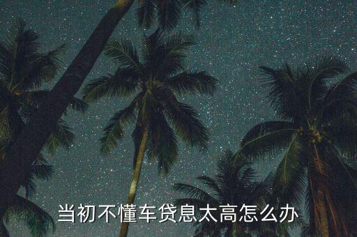 當(dāng)初不懂車貸息太高怎么辦