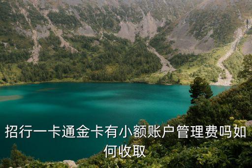 招商 金卡 管理費 怎么看，如何查詢自己的招行卡賬戶是否減免管理費