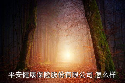平安健康保險股份有限公司 怎么樣
