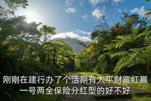 剛剛在建行辦了個活期有太平財富紅贏一號兩全保險分紅型的好不好