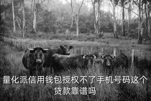 量化派信用錢包授權(quán)不了手機(jī)號碼這個(gè)貸款靠譜嗎
